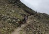 trail.jpg