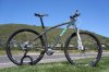 2013-GT-Xizang-titanium-29er-hardtail-mountain-bike01-600x398.jpg