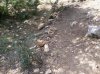 2012-06-30 09.47.49.jpg