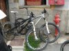 DSC02569.jpg