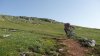 P1020844.jpg