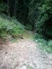 2012-07-10 14.42.05.jpg