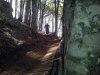 20120708_163607.jpg