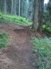 2012-07-14 11.03.37.jpg