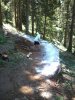 2012-07-17 12.04.13.jpg