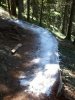 2012-07-17 12.04.29.jpg