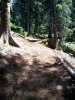 2012-07-17 13.14.21.jpg