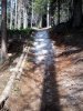 2012-07-17 15.26.38.jpg