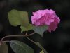 DSCN0404.jpg