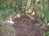 100_0095.jpg