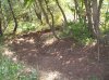 100_0096.jpg