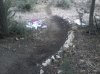 2012-07-26 19.14.12.jpg