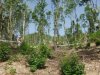 Gara mtb 2012 031.jpg