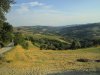 IMG_6268.jpg