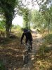 DSC01178.jpg