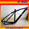 custom_bicycle_frame.jpg