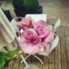 fiori.jpg