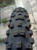 IMG493.jpg