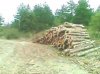 vlcsnap-2012-09-24-08h23m06s55.jpg