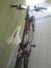 New look 2.jpg