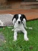 DSCN0556.jpg