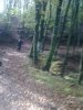 18092012734.jpg