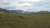 20121007_103827.jpg