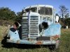 2575580-vecchi-camion-seduta-in-un-paddock-in-wanstead-hawke-39-s-bay-nuova-zelanda.jpg