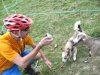 IMG_2228.jpg