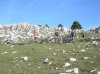 DSCN2933.jpg