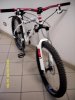 SDC10178.jpg
