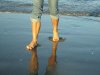IMG_8584.jpg