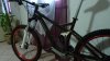 DSC02168.jpg