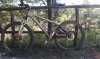 specialized_20120815_1812204160.jpg