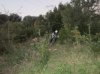 Immagine 238.jpg