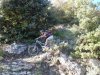 SAM_0227.jpg