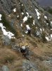 DSCN9729.jpg