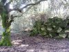 20121125_115328.jpg