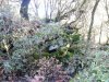 20121125_115157.jpg