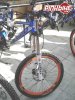 pbpic842972.jpg