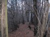 IMG_3107.jpg