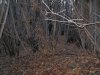 IMG_3106.jpg