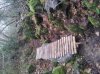 20121204_132703.jpg