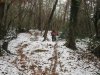 bk - sange1212 025.jpg