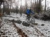 DSCN0342.jpg
