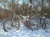 DSC_1459.jpg