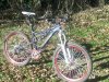 CameraZOOM-20121231122808422.jpg
