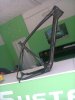 Foto0004.jpg