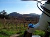IMG_20121229_113401.jpg