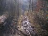 DSCF0296.jpg